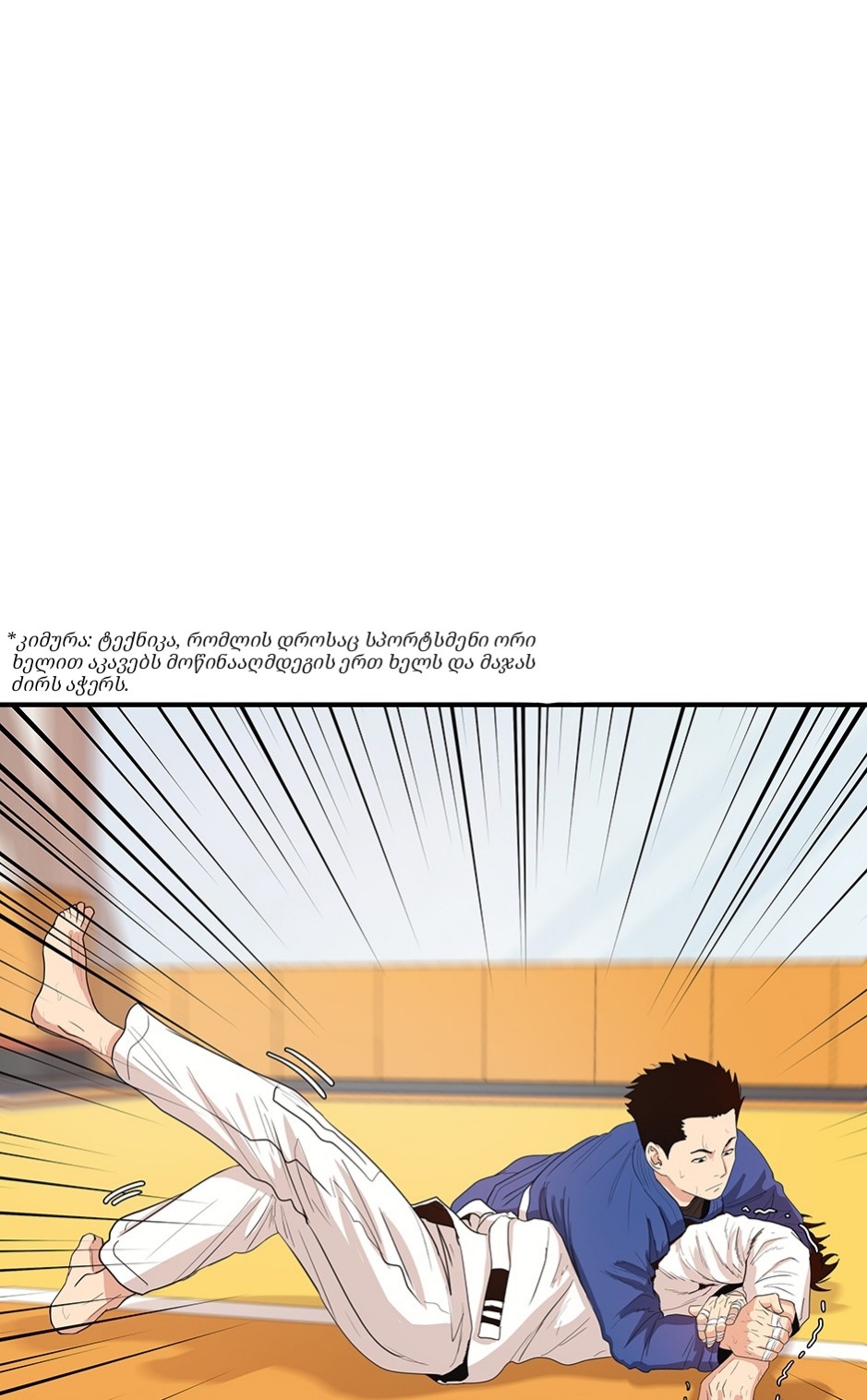 Page (43)